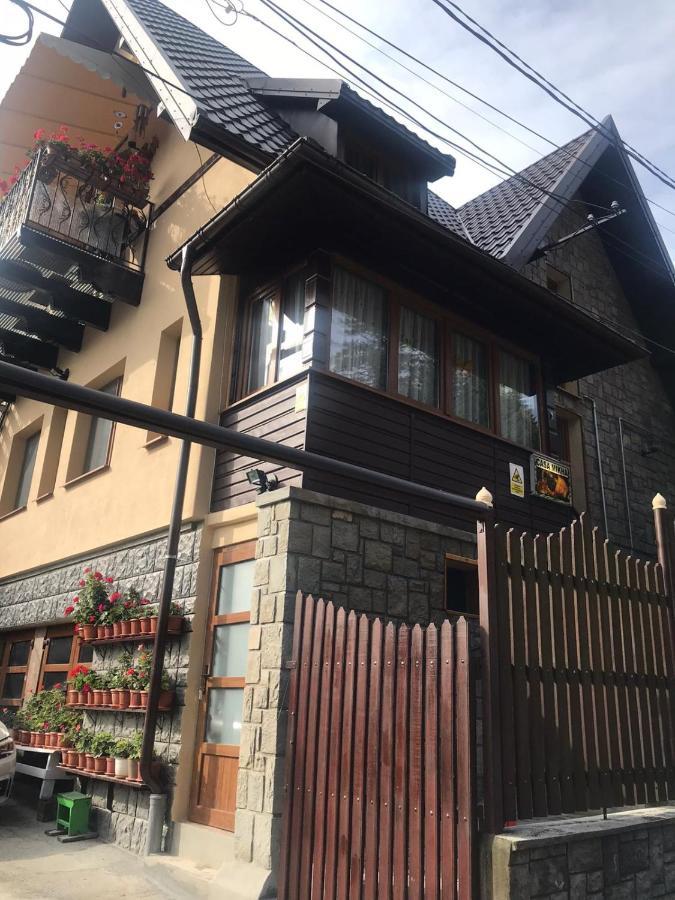 Casa Mikha Διαμέρισμα Σινάια Εξωτερικό φωτογραφία